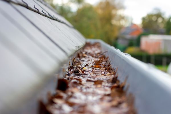 Commercial Gutter Cleaning in Valencia