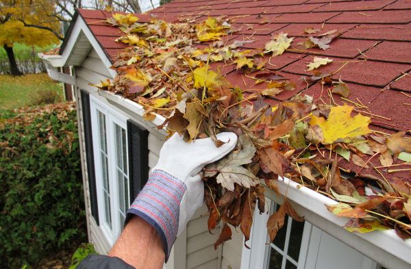 Rain Gutter Cleaning Service in Valencia