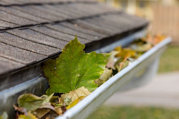 Cost of Gutter System Cleaning in Valencia