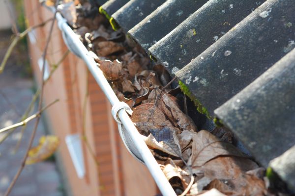 Cost of Home Gutter Cleaning in Valencia