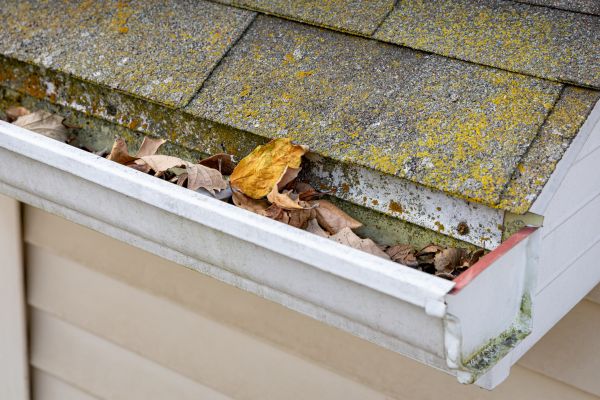 Cost of Garage Gutter Cleaning in Valencia