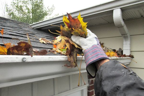 Cost of Gutter Leaf Clearing in Valencia