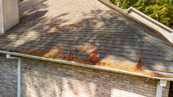 Cost of Gutter Pine Needle Removal in Valencia