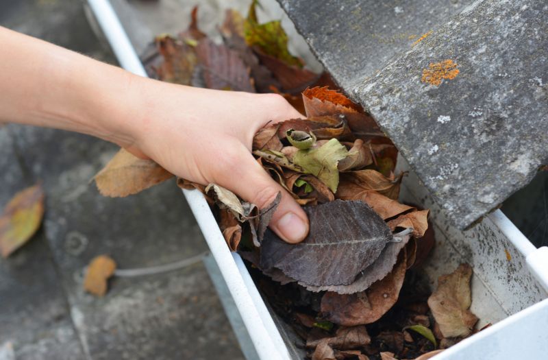Gutter Inspection and Repair