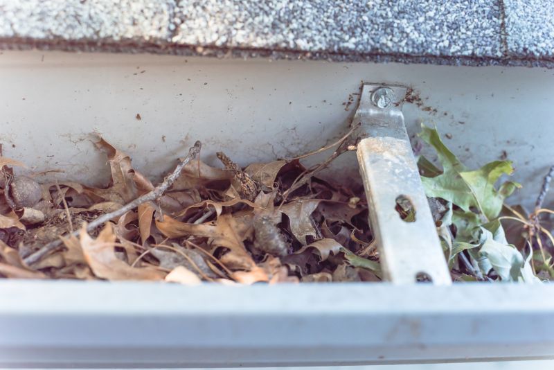 Removing Debris from Gutters