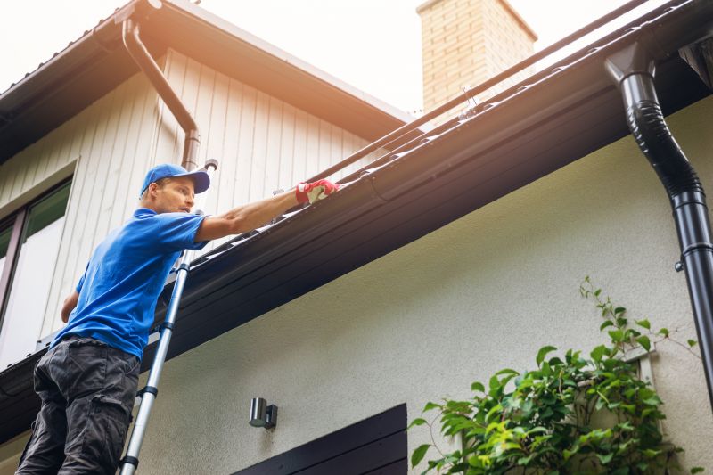 Professional Gutter Cleaning